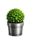 Icono de jardineria