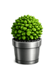 Icono de jardineria
